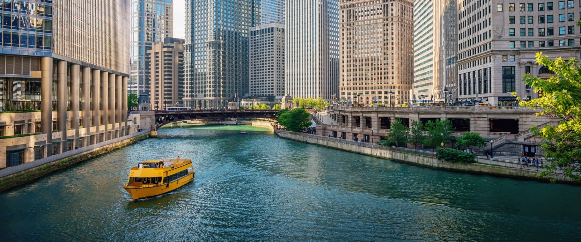 What are the 5 most populated cities in illinois?