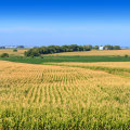 Where is the geographic center of illinois located?