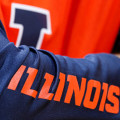 What is the state nickname of illinois?
