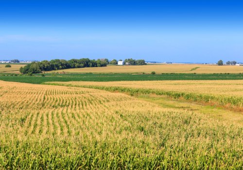 Where is the geographic center of illinois located?